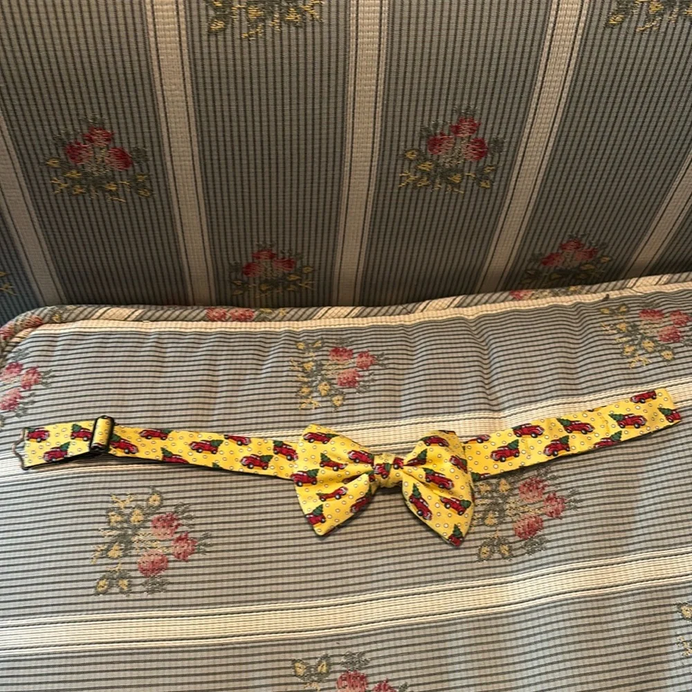 EUC Vineyard Vines Boys Bow Tie